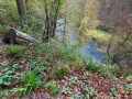 Müngstener Brücke