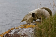 South Uist, Lochboisdale