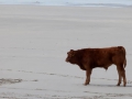 Barra, Traigh Mhor