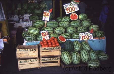 Melonen