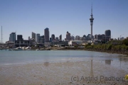 Auckland, Skyline