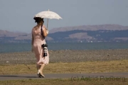 Napier, Art-Deco-Festival