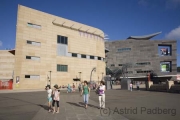 Te Papa Museum