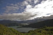 Queen-Charlotte-Track, Weg Portage Bay nach Te Mahia Bay