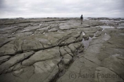 Kaikoura, Strand