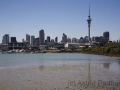 Auckland, Skyline