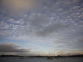 Paihia, Feierabendregatta