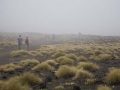 Tongariro Crossing