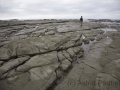 Kaikoura, Strand