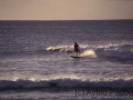 Surfer vor Hanga Roa