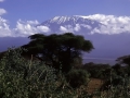 Blick auf den Kilimanjaro