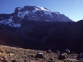 Aufstieg auf den Kilimanjaro