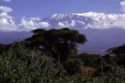 Blick auf den Kilimanjaro