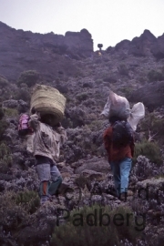 Aufstieg auf den Kilimanjaro