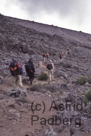 Aufstieg auf den Kilimanjaro