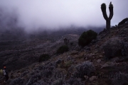 Aufstieg auf den Kilimanjaro