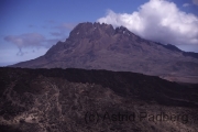 Aufstieg auf den Kilimanjaro, Mawensi