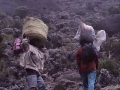 Aufstieg auf den Kilimanjaro