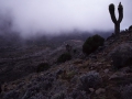 Aufstieg auf den Kilimanjaro