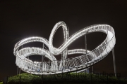 Tiger & Turtle