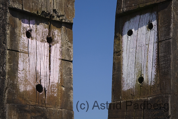 Gesichter