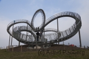 Tiger + Turtle