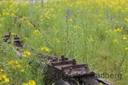 Landschaftspark Duisburg Nord