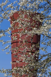 Katernberg Süd Bf, Pact Zollverein