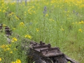 Landschaftspark Duisburg Nord