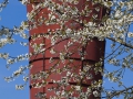 Katernberg Süd Bf, Pact Zollverein