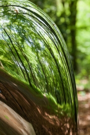 Skulpturenpark Waldfrieden, Tony Cragg, Distant Cousin