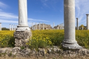 Salamis, Gymnasium