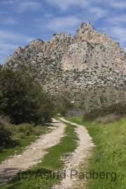 Besparmak Pass nach Alevkaya Forststation