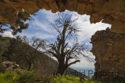 Kirchenruine (Panagia Plataniotissa)