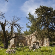 Kirchenruine (Panagia Plataniotissa)