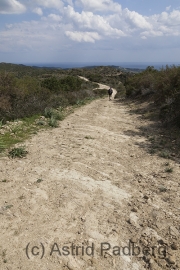 Weg von Sipahi nach Elousa