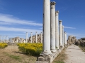 Salamis, Gymnasium