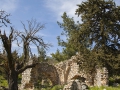 Kirchenruine (Panagia Plataniotissa)