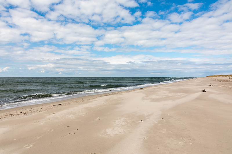 Strand - Auf dem Darß