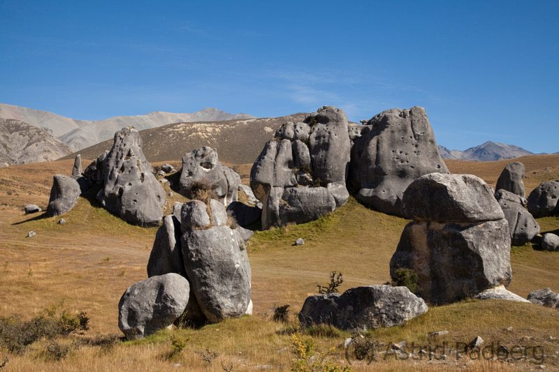 Kura Tawhiti / Castle Hill