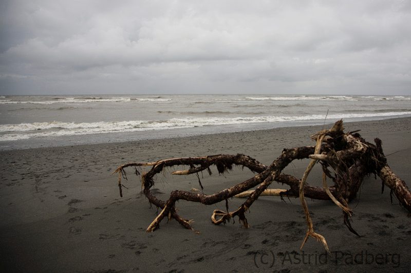 Strand von Hokitika