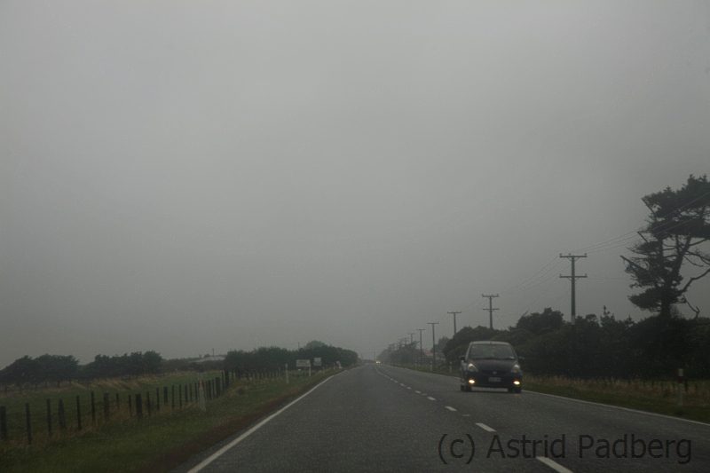 Auf dem Weg von Hokitika zum Arthur's Pass