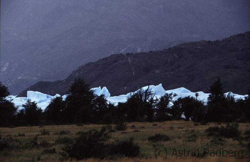 Glaciar Grey (1994) aus der Ferne