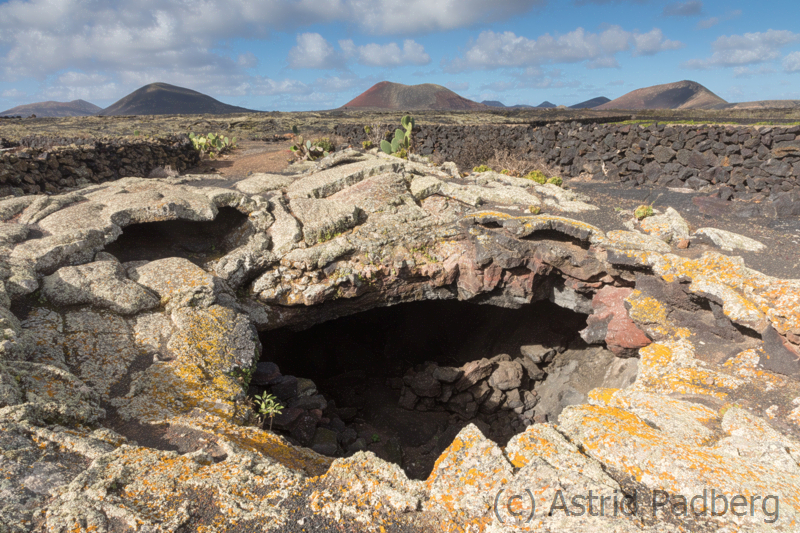 Landschaft, Lanzarote