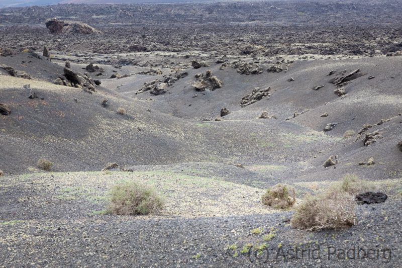 Landschaft im Litoral