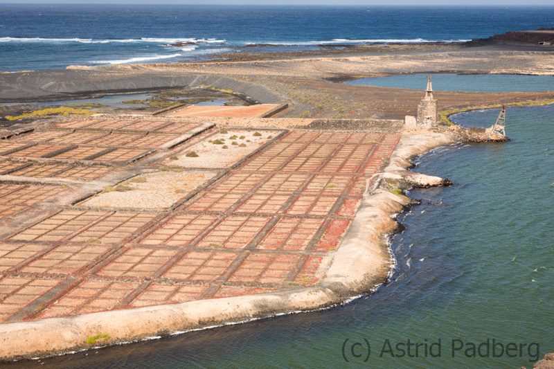 Salinas de Janubio