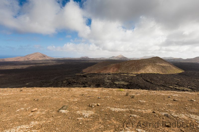 Blick nach Mancha Blanca