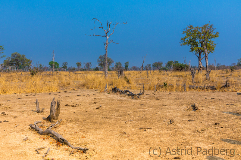 Landschaft, South Luangwa NP