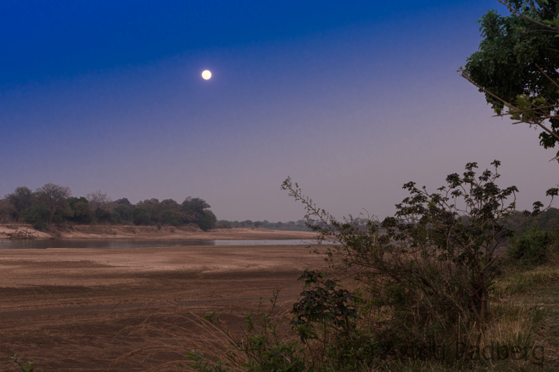 Vollmond, South Luangwa River