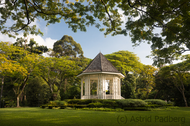 Botanischer Garten